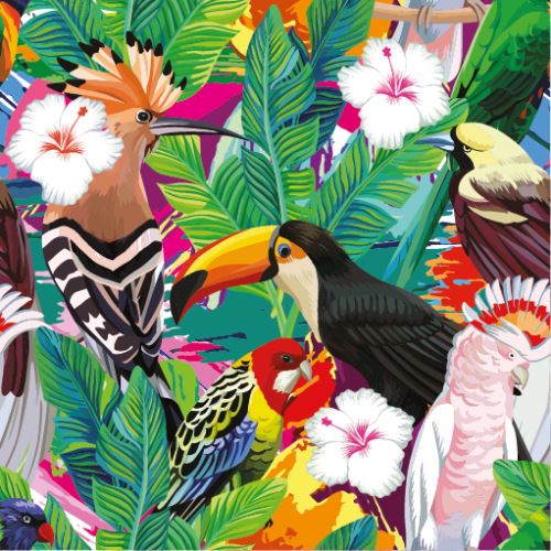 07 - Tropičtí ptáci v džungli