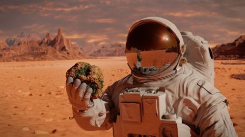 06 - Život na planetě Mars