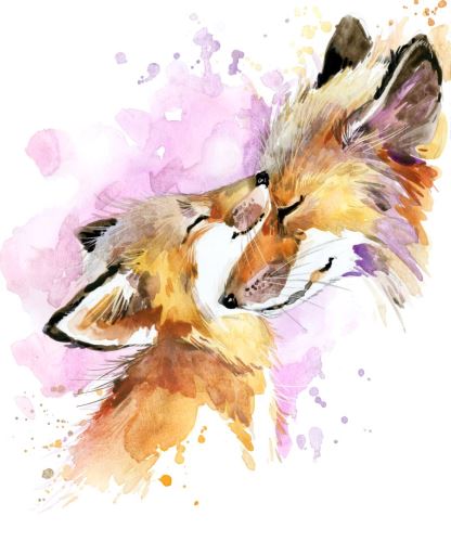 09 - Lišky